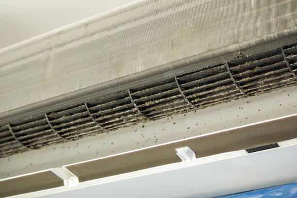 Best Air Vent Cleaning Services  in Dallastown, PA